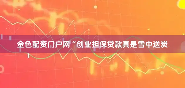 金色配资门户网“创业担保贷款真是雪中送炭