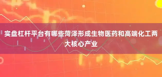 实盘杠杆平台有哪些菏泽形成生物医药和高端化工两大核心产业