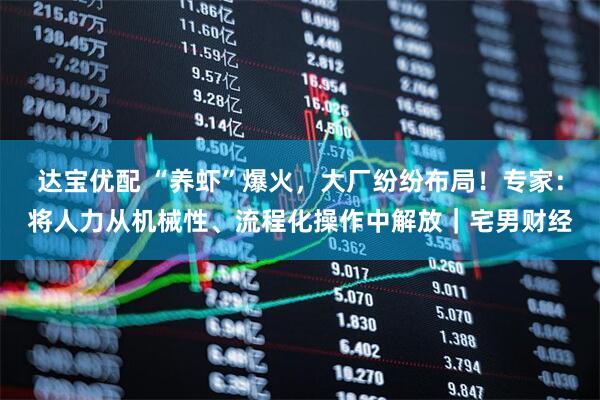 达宝优配 “养虾”爆火，大厂纷纷布局！专家：将人力从机械性、流程化操作中解放｜宅男财经