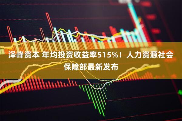 泽峰资本 年均投资收益率515%！人力资源社会保障部最新发布